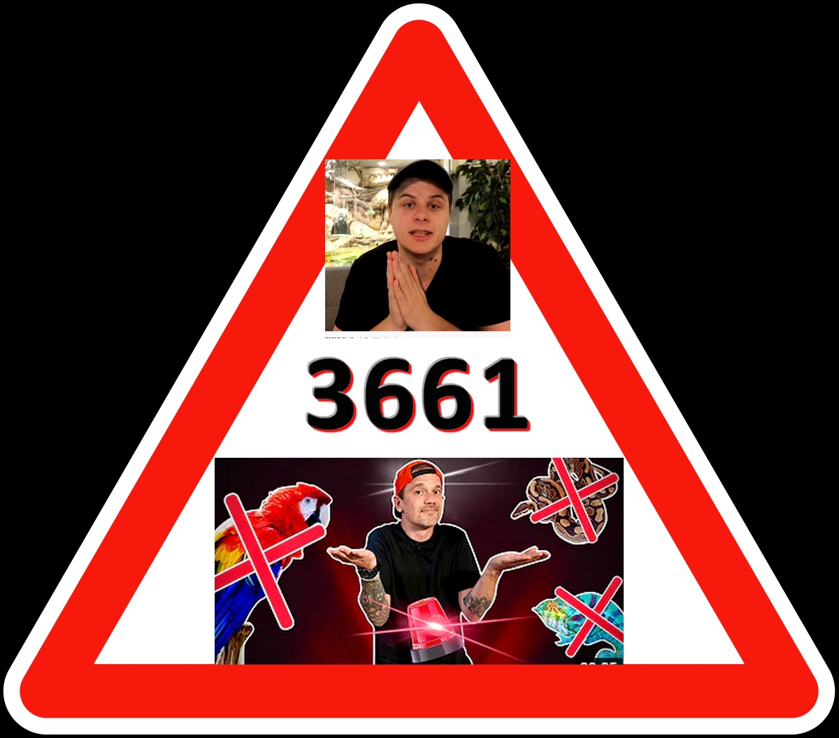 3661 Video