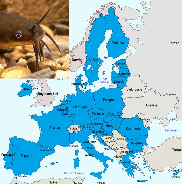 EuropeEEE