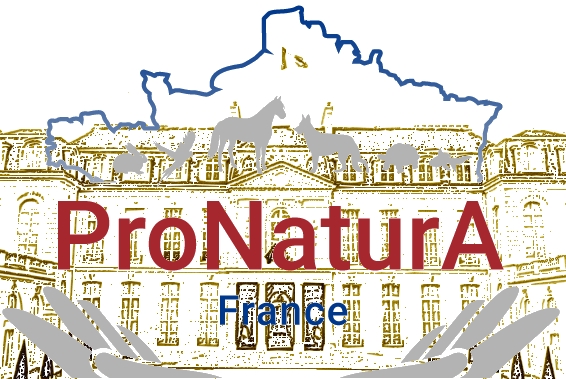 PNA elysee