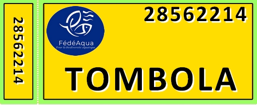 Tombola