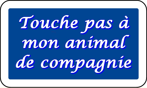 Touche pas