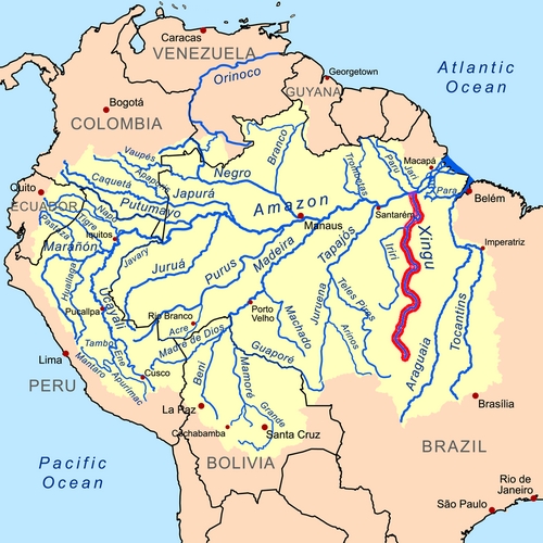 Xingu