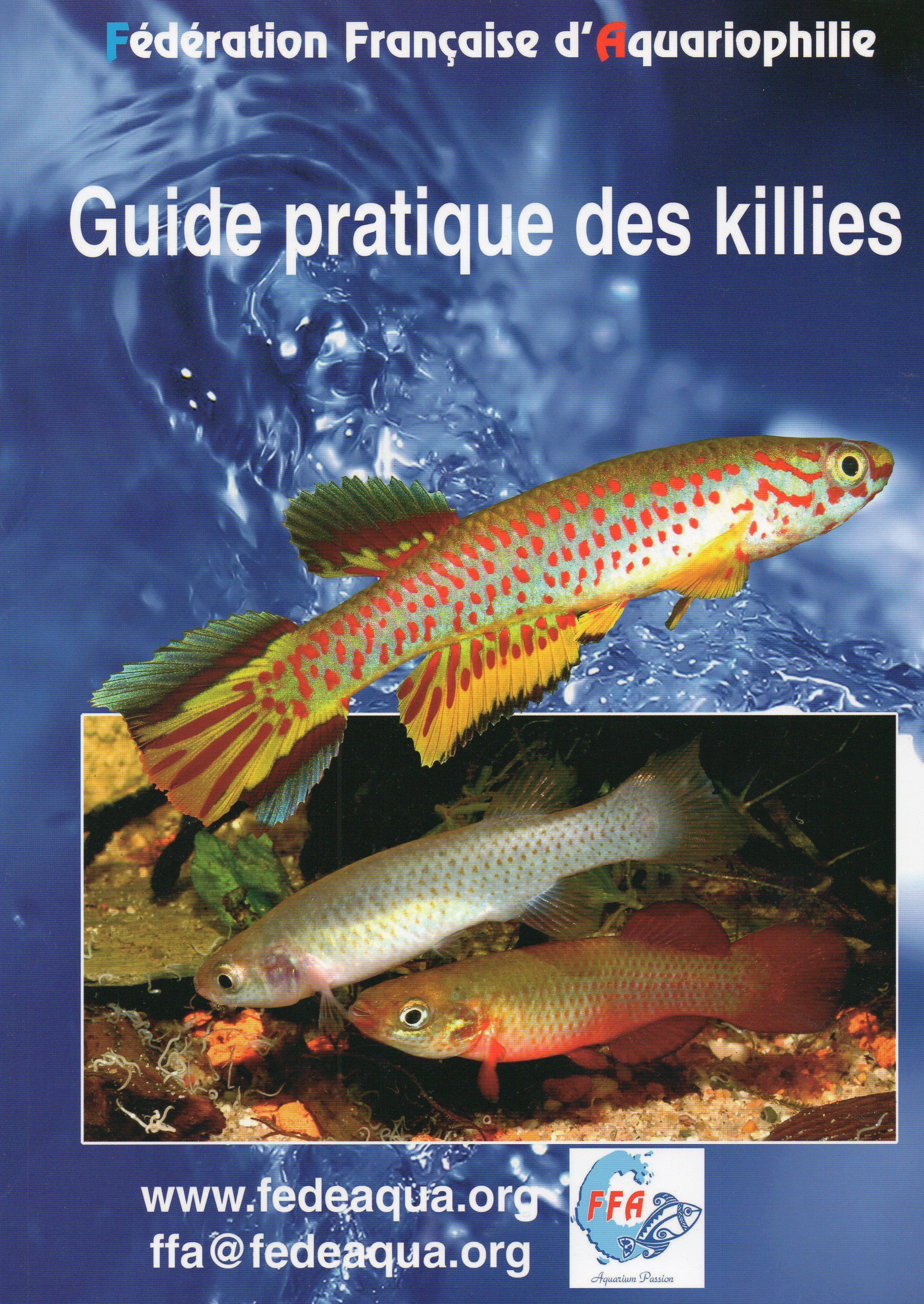 Guide pratique des Chaetodontidés