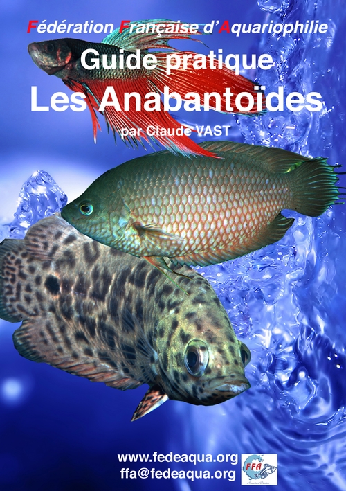 Principaux Anabantoides
