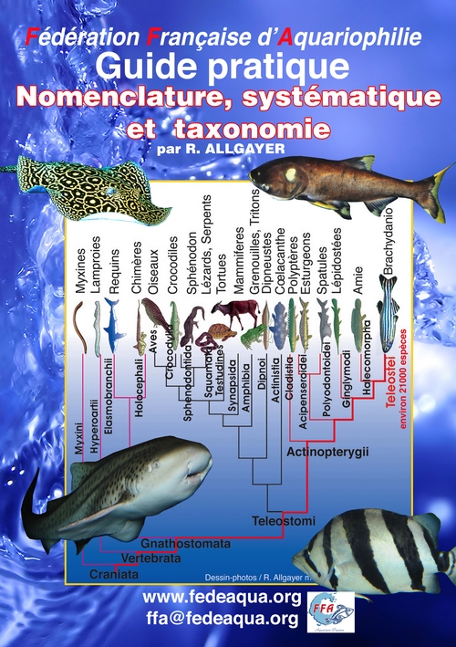 Nomenclature, systématique et taxonomie