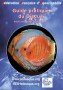 guide_discus